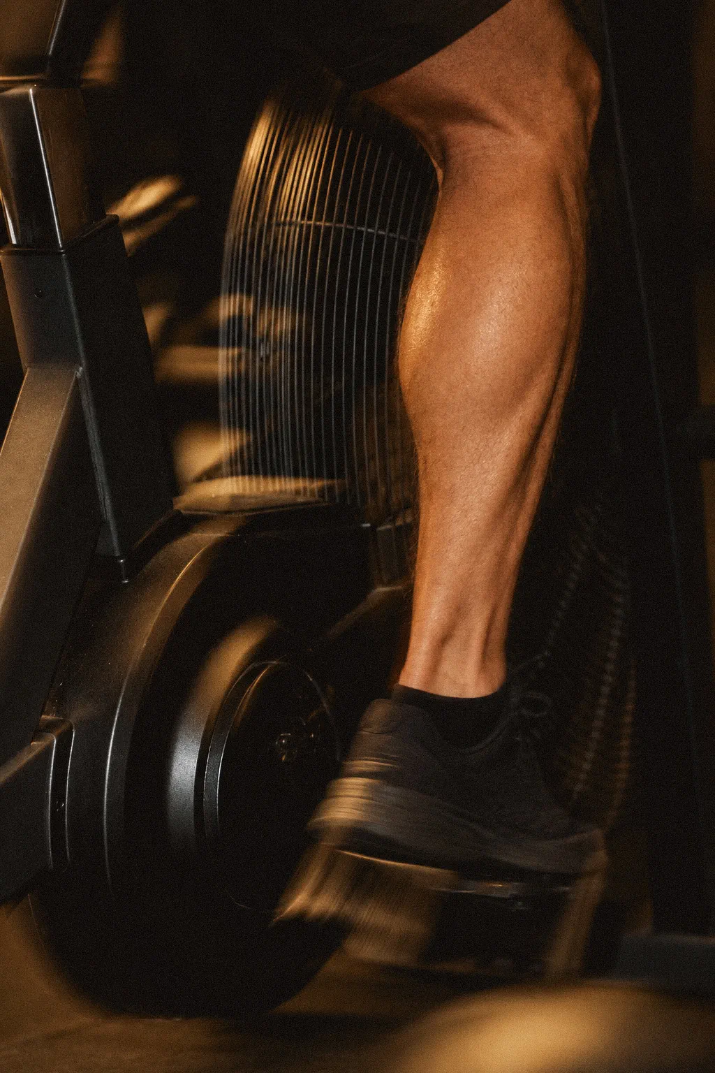 Zone 1: The Performance Gym